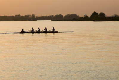 Rowing in the evening on the river Lek, Netherlands 2008