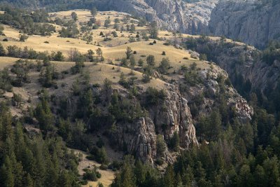 Yellowstone