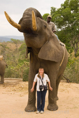 Tracey And Tembo