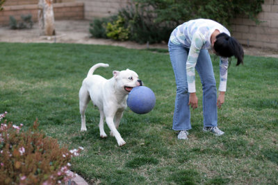 Emma And Waylon Jollyball