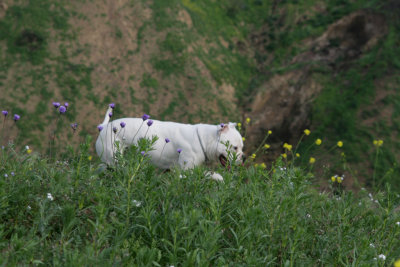 WaylonHik_20090308_0036.jpg