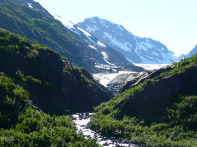 Alaskan Railway Scenery 2