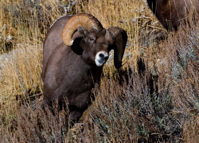 DSC_8841b.jpg