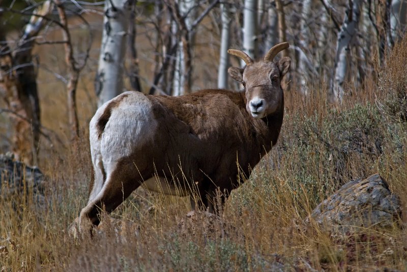 DSC_9364a.jpg
