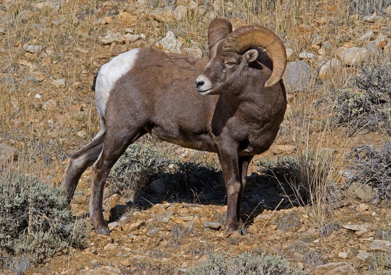 DSC_9105a.jpg