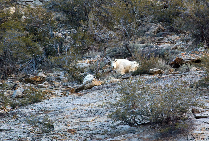 DSC_9317a.jpg