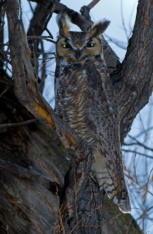 DSC_3891a.jpg