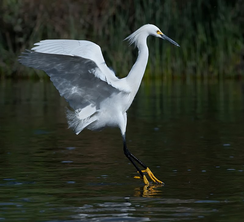 DSC_1360b.jpg