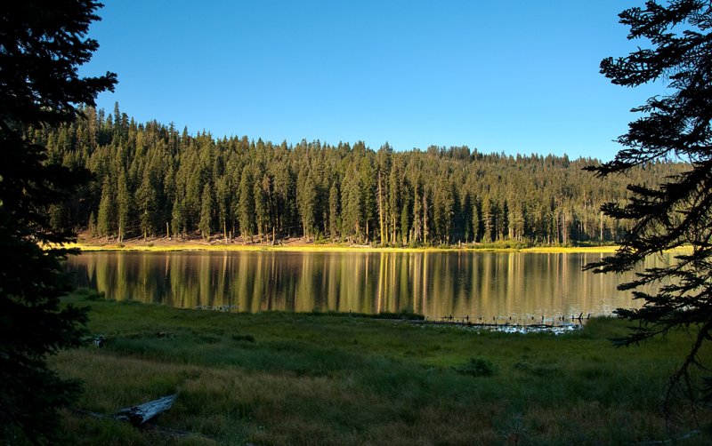 DSC_8290a.jpg