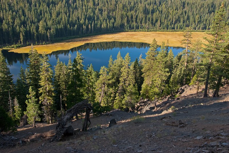 DSC_1254a.jpg