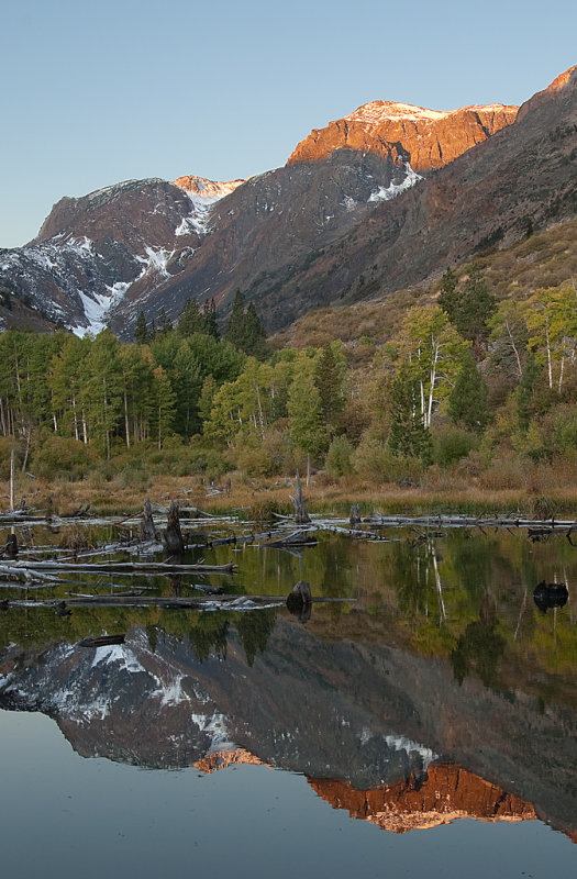 DSC_2046a.jpg