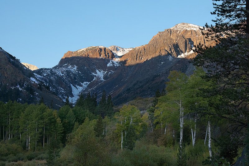 DSC_2080a.jpg