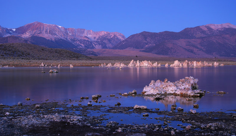 DSC_2367a.jpg