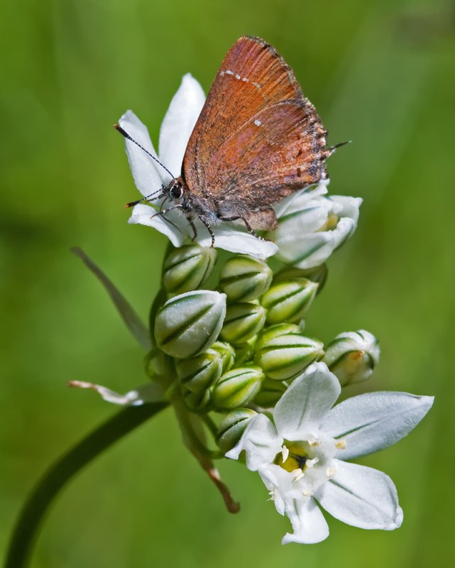 DSC_9404a.jpg
