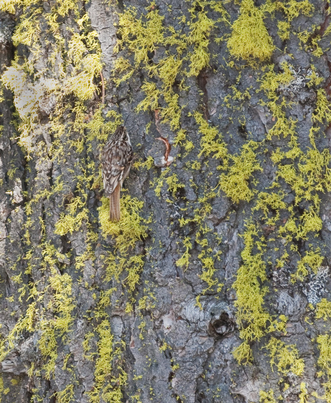 DSC_6909a.jpg