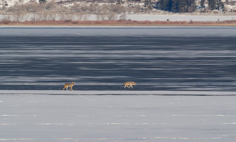DSC_6589a.jpg