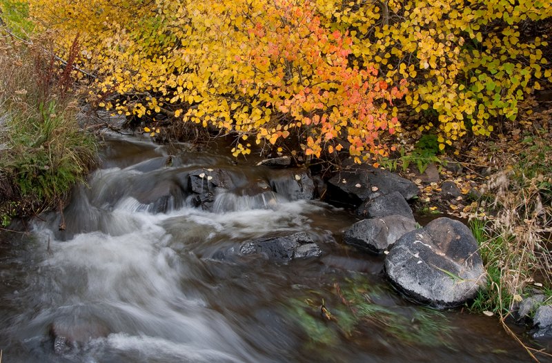 DSC_2193a.jpg