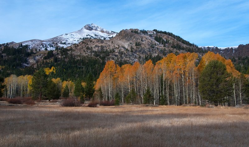 DSC_2246a.jpg