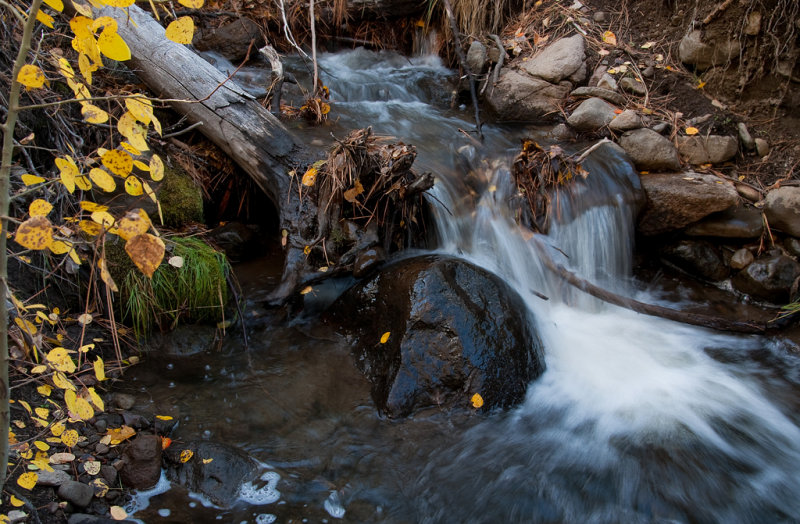 DSC_2373a.jpg