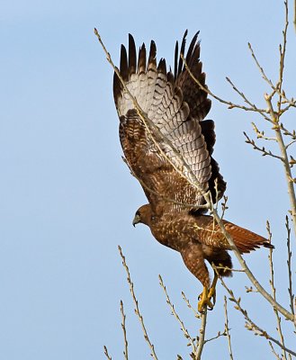 DSC_4188a.jpg