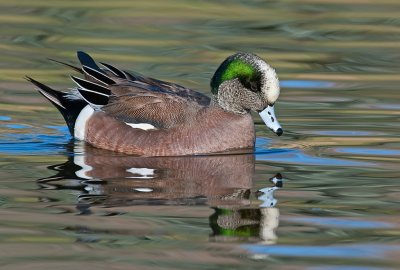 DSC_6331a.jpg