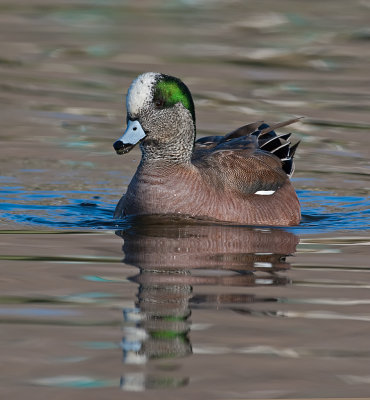 DSC_6336a.jpg