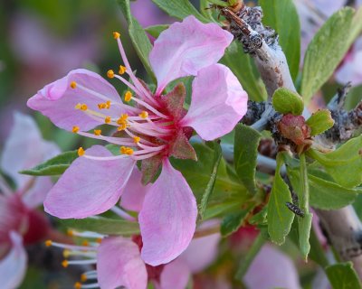 DSC_9646a.jpg