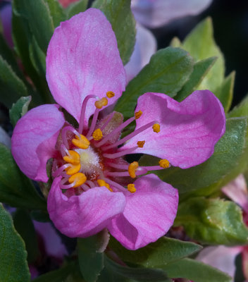 DSC_9710b.jpg
