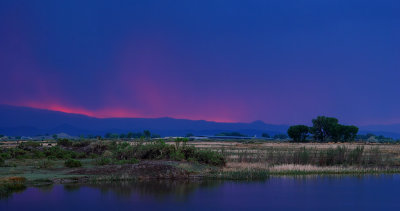 DSC_2254a.jpg