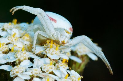DSC_5597a.jpg