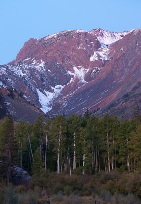 DSC_2024a.jpg