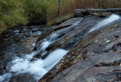DSC_2107a.jpg