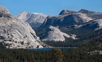 DSC_2124a.jpg