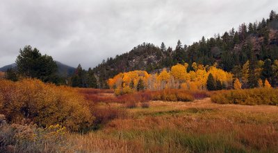 DSC_1992a.jpg