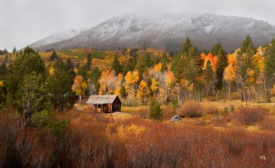 DSC_2095a.jpg