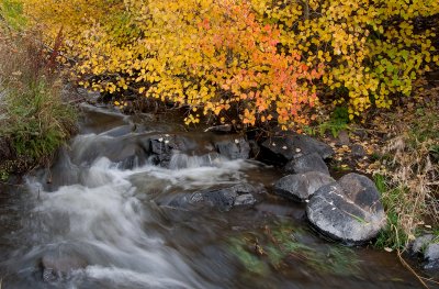 DSC_2193a.jpg