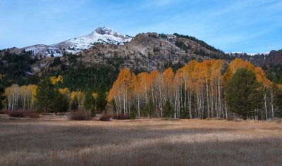 DSC_2246a.jpg