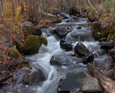 DSC_2433a.jpg