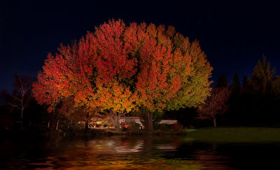 DSC_3420b.jpg
