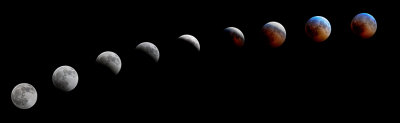DSC_5162cb.jpg