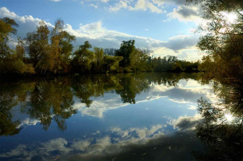 Rhinau