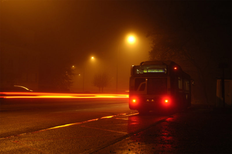 bus