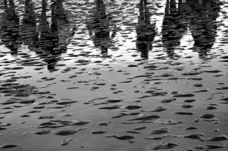 reflets