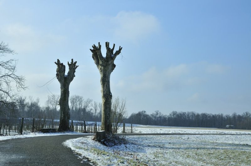 mutils