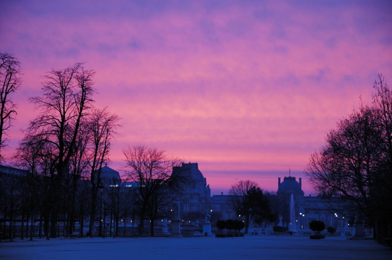 jardin des tuileries #5