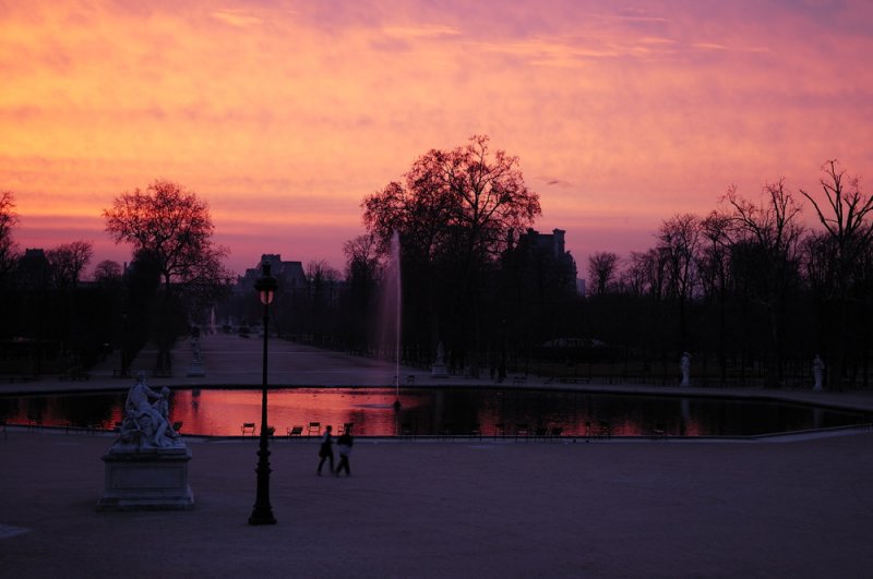 jardin des tuileries #4