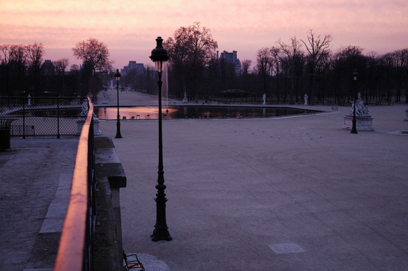 jardin des tuileries #1