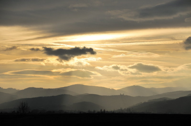 andlau #1