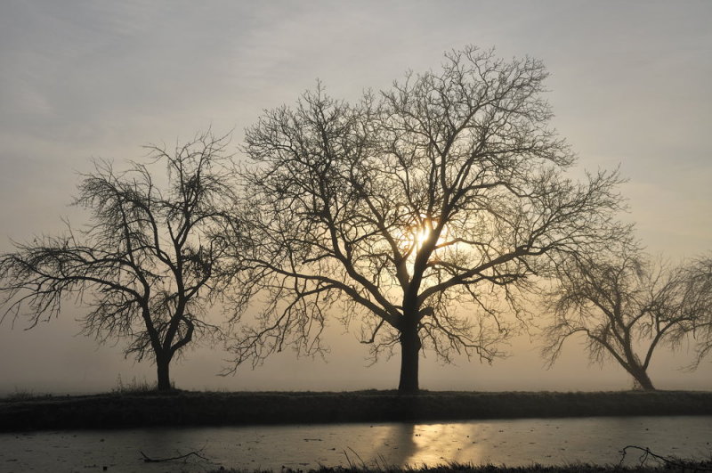 au bord du canal