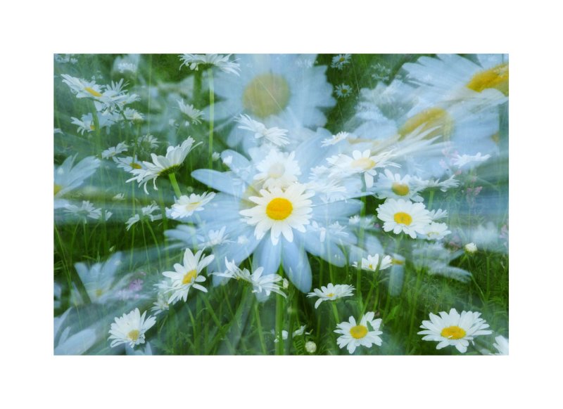 blanc